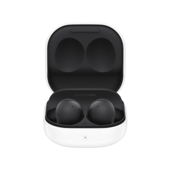 Изображение Наушники Samsung Galaxy Buds2 Graphite (SM-R177NZKA)