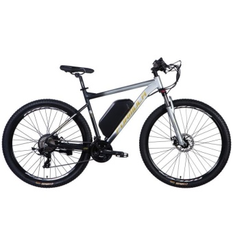 Изображение Электровелосипед Formula 29" eF-1 DD CS рама-21" 48B 17.5А*г 500Вт 2026 сріблясто-чорний (ELB-FR-29-256)