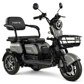 Зображення Електроскутер Forte FAMILY-WN1072, Сірий