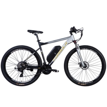 Зображення Електровелосипед Formula 29" eF-1 DD CS рама-21" 48B 12.5А*г 500Вт 2026 сріблясто-чорний (ELB-FR-29-254)