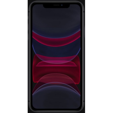 Смартфон Apple iPhone 11 128Gb Black купить в интернет магазине