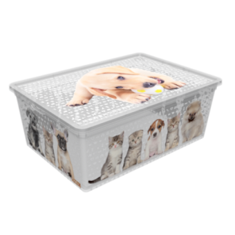 Зображення Кошик для зберігання QUTU 10 л (6739289)