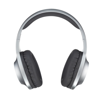 Изображение Наушники Panasonic RB-HX220BEE-S Gray (RB-HX220BEE-S)