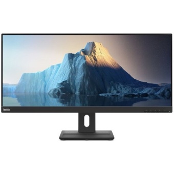 Изображение Монитор Lenovo E29w-20 (62CEGAT3UA)