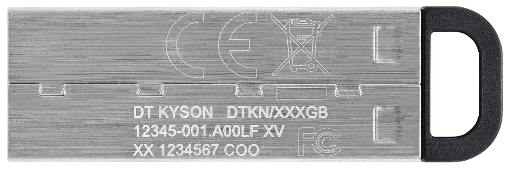 Флешка Kingston USB 3.2 DT Kyson 256GB Silver/Black фото №3