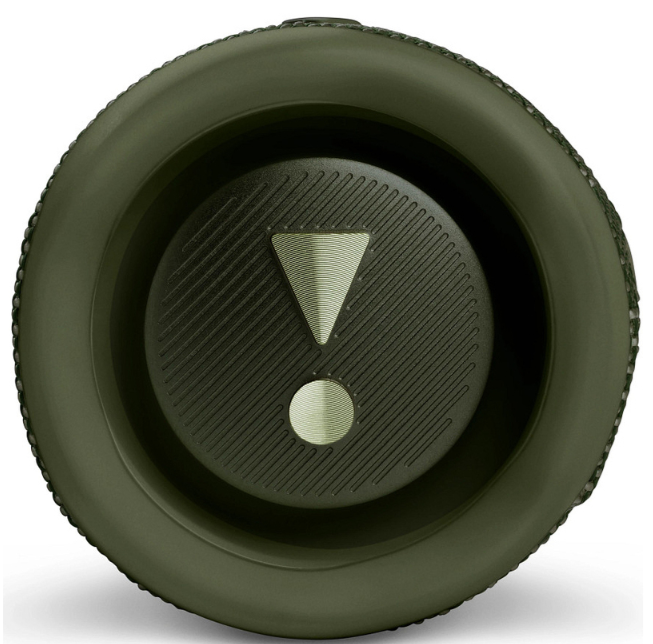 Портативна колонка JBL FLIP 6 (JBLFLIP6GREN) Green фото №4
