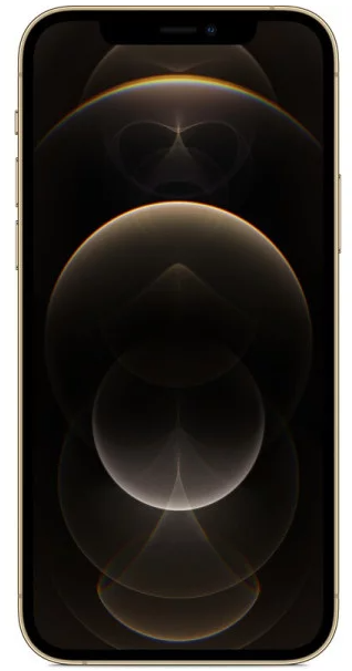 Смартфон Apple iPhone 12 Pro Max 256Gb Gold (REF EKO) фото №2