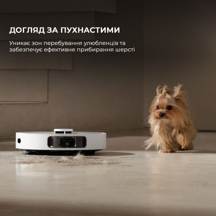 Пылесос робот Dreamе Bot D20 Ultra (RLD31SE) фото №10