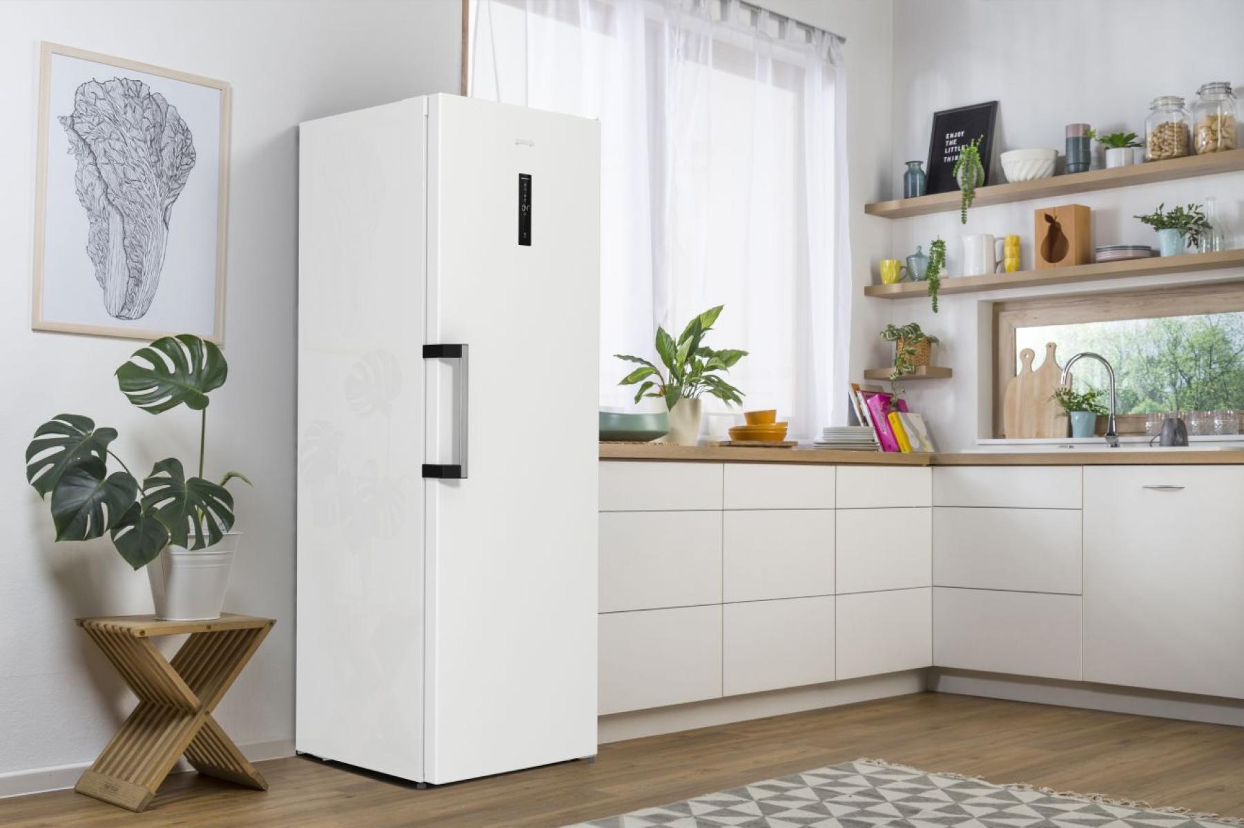 Холодильник Gorenje R619EAW6 фото №2