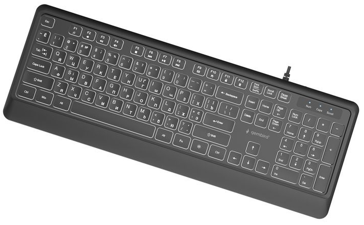 Клавиатура Gembird KB-UML-04-CYRL Black фото №2