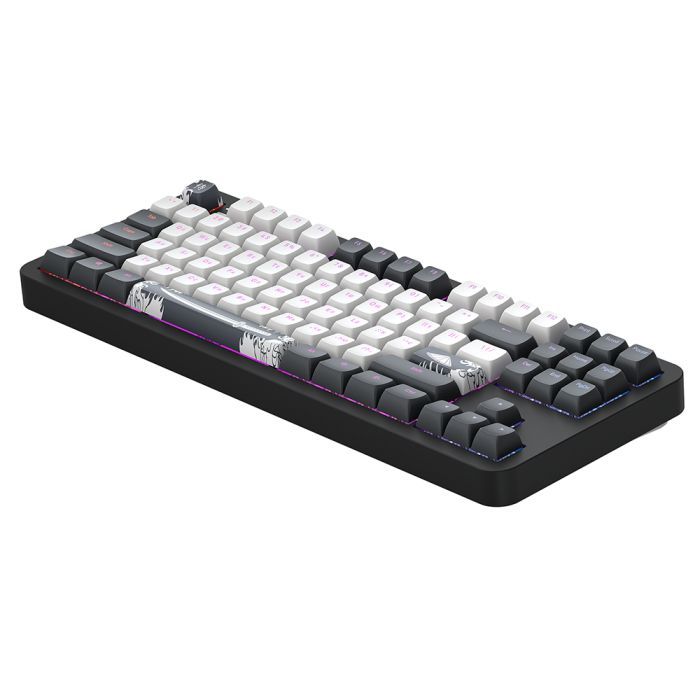 Клавиатура DARK PROJECT ALU87 Bushido ABS RGB Mech G3MS Moonstone Black/White (DPKB_BUSHIDO_87_ANSI_UA) фото №2