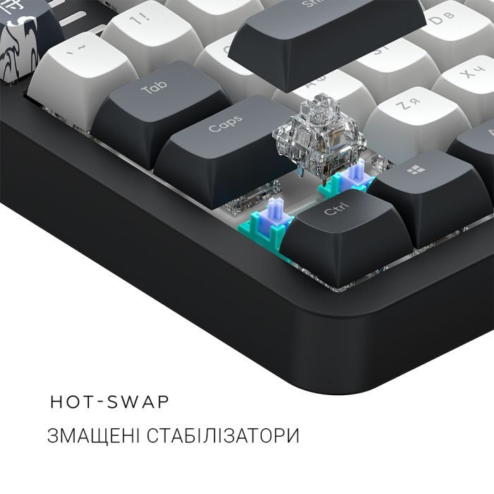 Клавиатура DARK PROJECT ALU87 Bushido ABS RGB Mech G3MS Moonstone Black/White (DPKB_BUSHIDO_87_ANSI_UA) фото №7