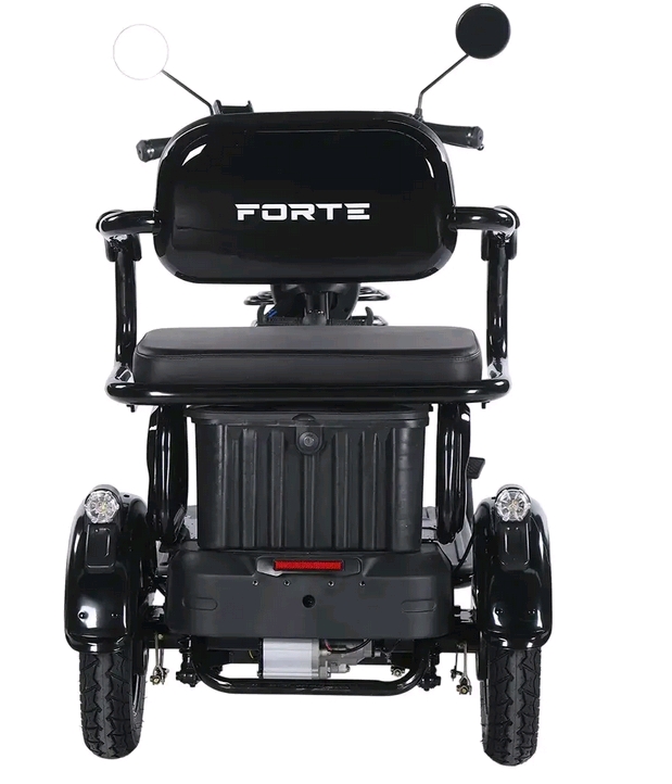 Електроскутер Forte FAMILY-WN1072, чорний фото №5