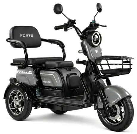 Електроскутер Forte FAMILY-WN1072, Сірий