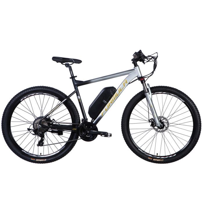 Електровелосипед Formula 29" eF-1 DD CS рама-21" 48B 12.5А*г 500Вт 2026 сріблясто-чорний (ELB-FR-29-254)