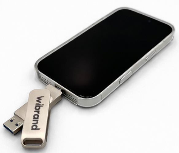 Внешний жесткий диск Wibrand Wolf 512GB USB 3.2 Gen.2 Type-C/Type-A Read/Write 1000MB/s Silver фото №5