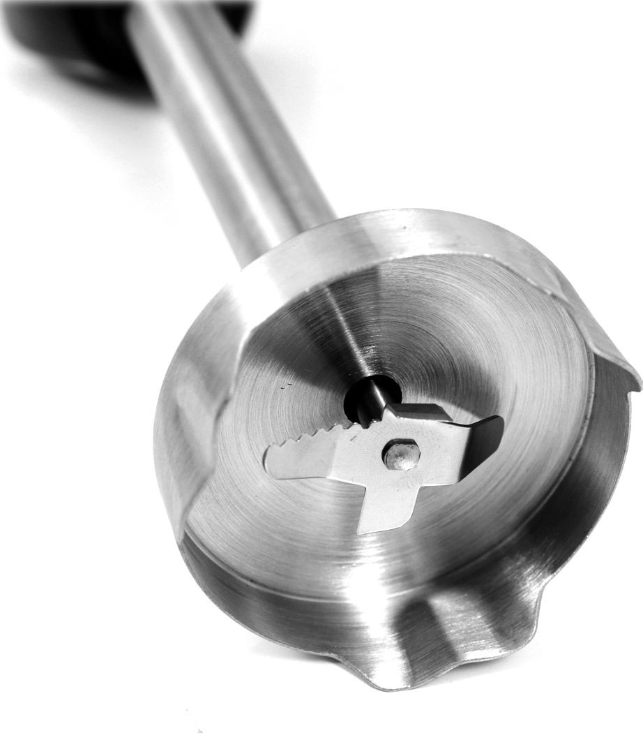 Блендер Rotex RTB850-B фото №7