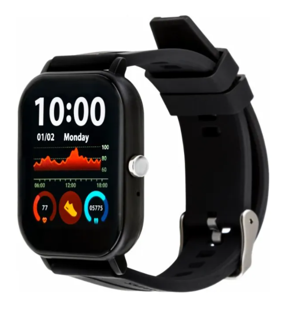 Smart годинник  GO FUN Pulseoximeter and Tonometer black (850472)
