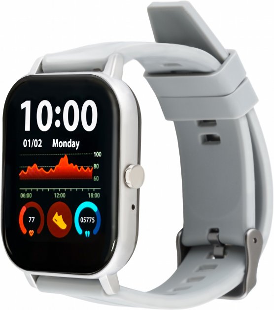 Smart годинник  GO FUN Pulseoximeter and Tonometer gray (850474)