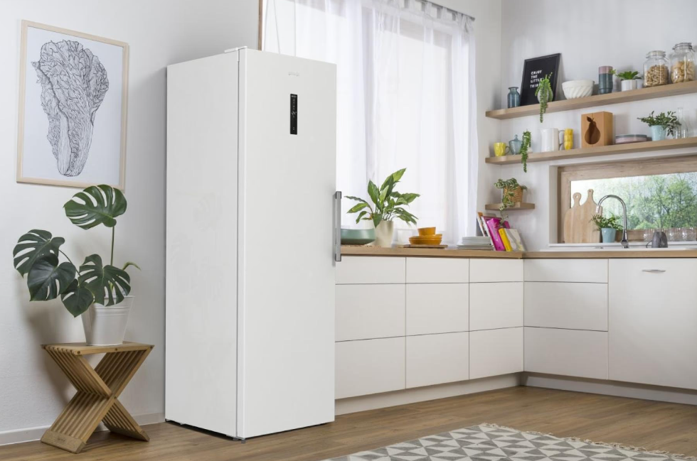 Морозильна камера Gorenje FNP619EAW6L фото №3