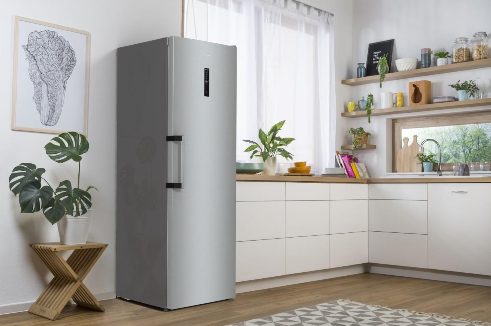 Морозильна камера Gorenje FN619EAXL6 фото №10