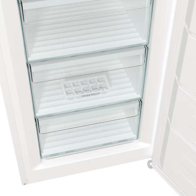 Морозильная камера Gorenje FN619EEW5 фото №9