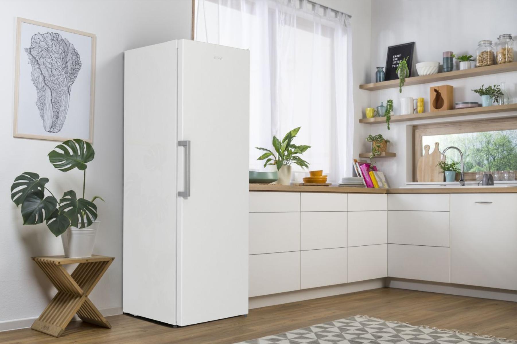 Холодильник Gorenje R619EEW5 фото №5