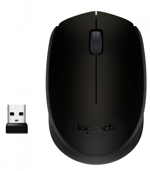Компьютерная мыш Logitech Wireless M171 Black