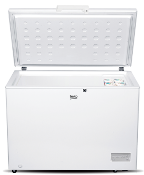Морозильна камера Beko CF316W фото №2