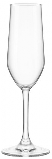 Набір келихів Bormioli Rocco Riserva Champagne 6x205 мл (126281GRC021990)