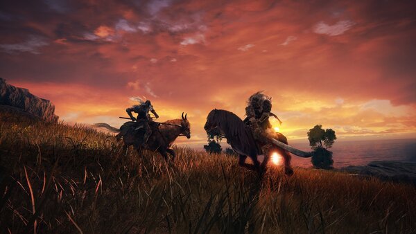 Диск GamesSoftware PS4 Elden Ring, BD диск фото №5
