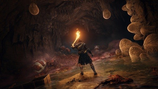 Диск GamesSoftware PS4 Elden Ring, BD диск фото №7