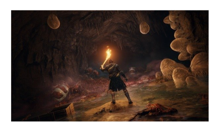 Диск GamesSoftware PS5 Elden Ring, BD диск фото №11