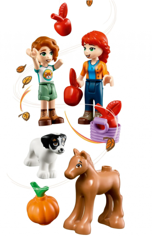 Конструктор Lego Friends Будиночок Отом фото №5