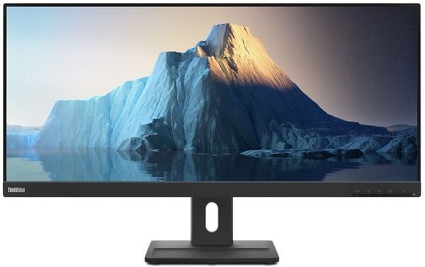 Монитор Lenovo E29w-20 (62CEGAT3UA)