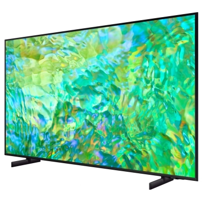 Телевізор Samsung UE65DU8000UXUA фото №6