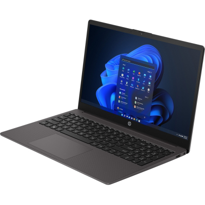 Ноутбук HP 255R G10 (D0DP6AT) фото №3